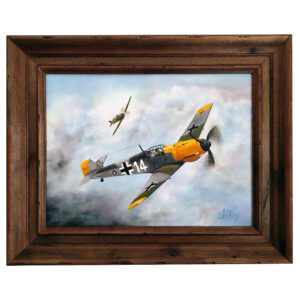 Messerschmitt Me-109E-4 “Emil” (I./LG 2) “Branco 14”