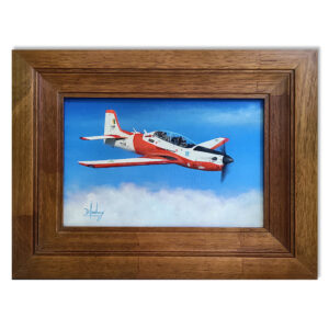 Embraer T-27 Tucano 1374 (AFA)